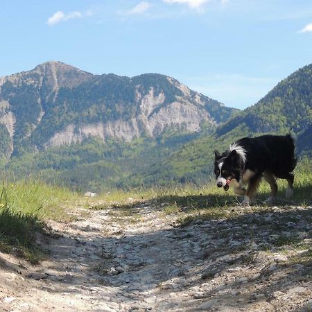 Le Colombier Panzió Glandage Kültér fotó